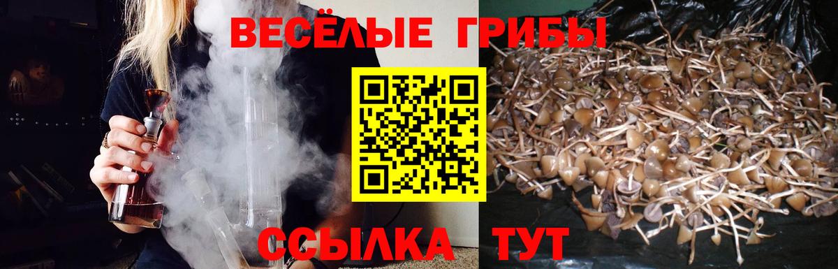 Заводоуковск  Псилоцибиновые грибы GOLDEN TEACHER  Вход с VPN 