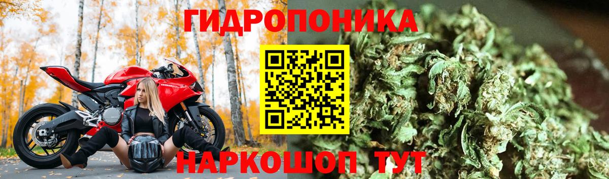 Каннабис THC 21% Заводоуковск
